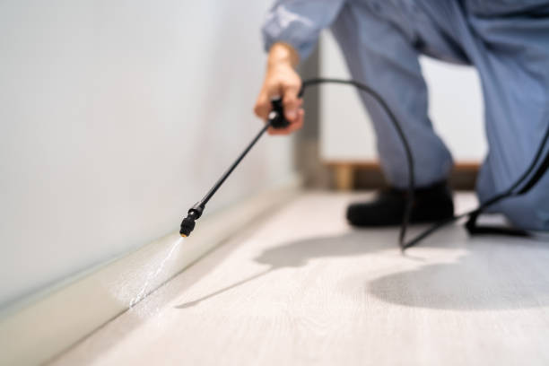 Licensed Rodent Control service in Wilson, WY - Nex Pest Control