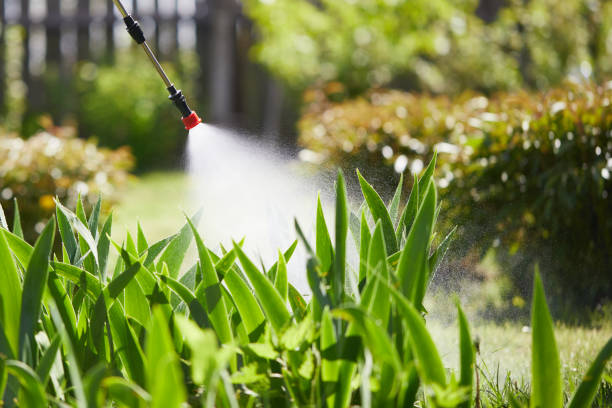 24/7 Emergency Rodent Control experts in Wilson, WY