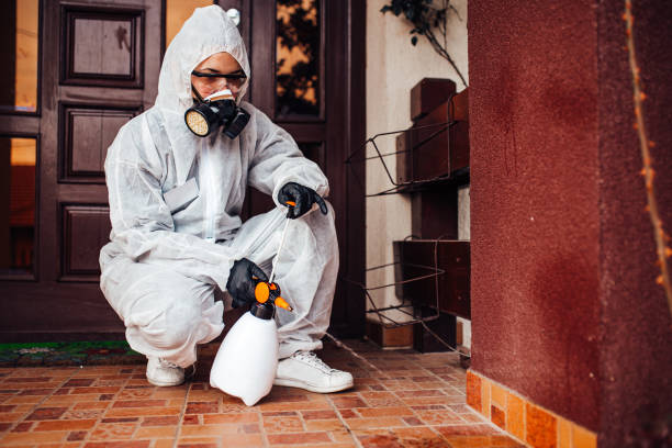 Reliable Rodent Control contractor in Wilson, WY by Nex Pest Control