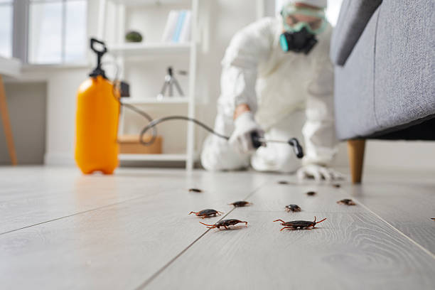 Trusted Bed Bug Control service in Wilson, WY - Nex Pest Control