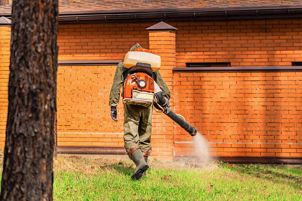 Trusted Rodent Control service in Wilson, WY - Nex Pest Control